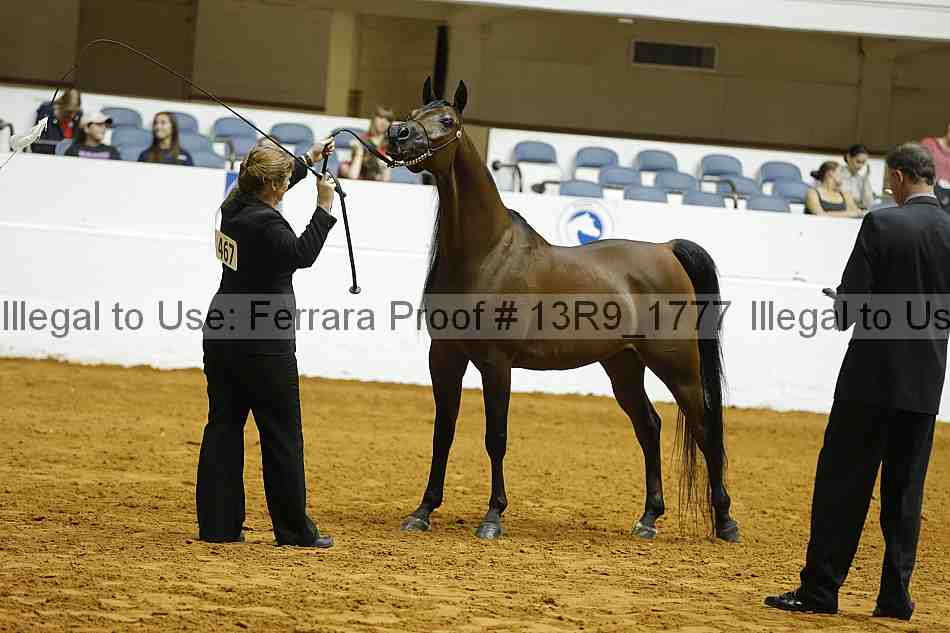 Proof 13r9_1777