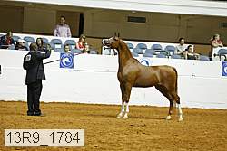 13r9_1784 proof