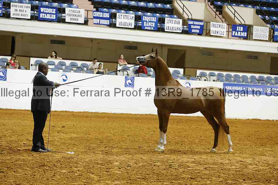 Proof 13r9_1785