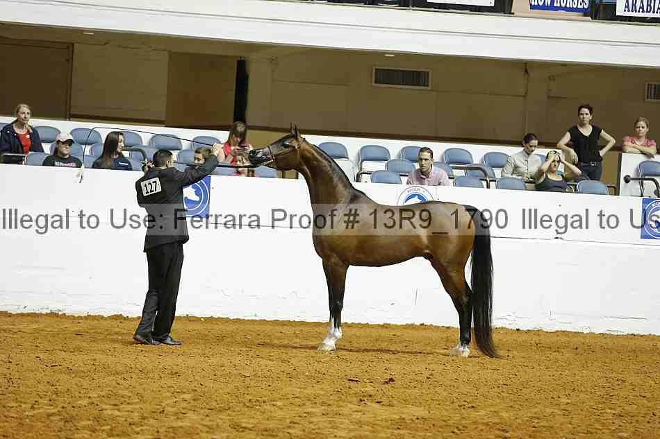 Proof 13r9_1790