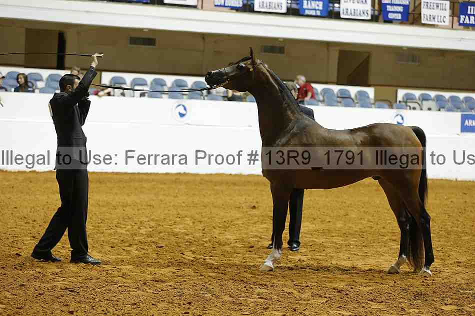 Proof 13r9_1791
