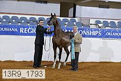 13r9_1793 proof
