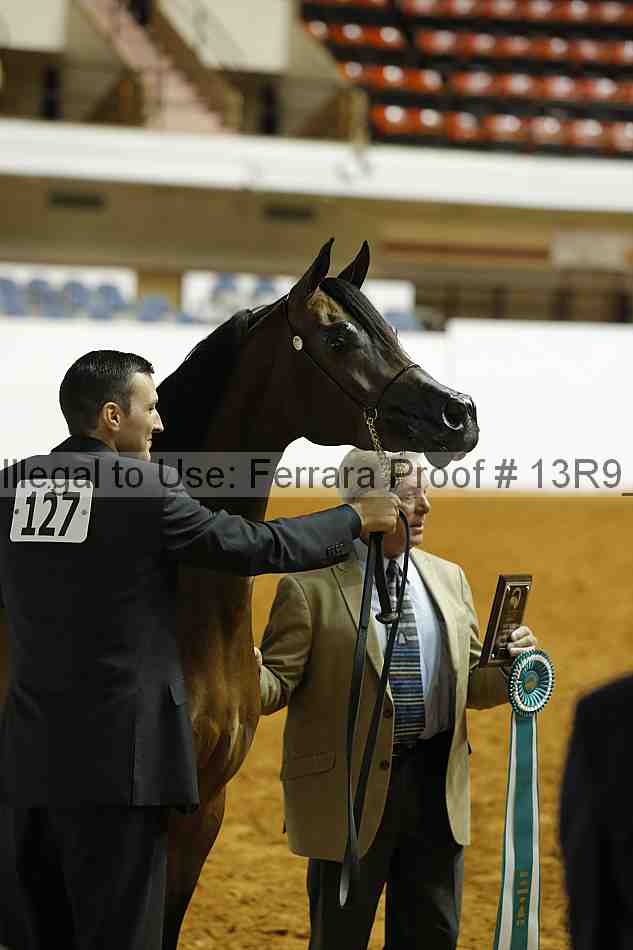 Proof 13r9_1795