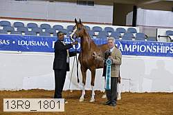 13r9_1801 proof