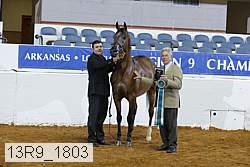 13r9_1803 proof