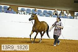 13r9_1826 proof