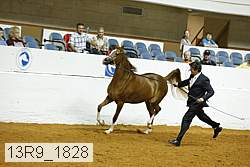 13r9_1828 proof