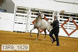 13r9_1829 proof