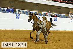 13r9_1830 proof