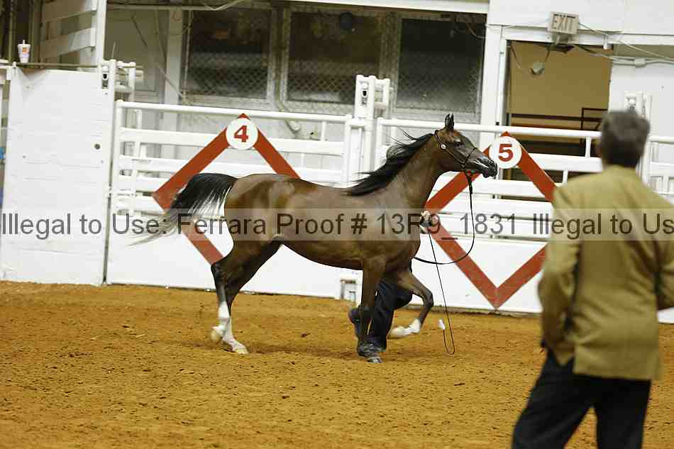 Proof 13r9_1831