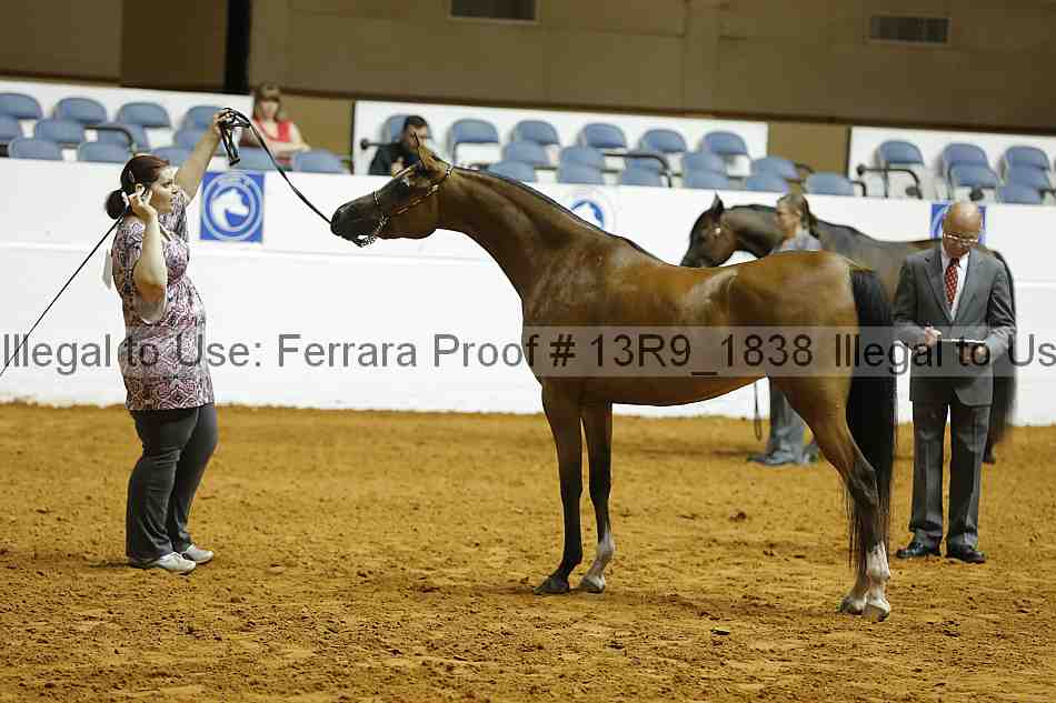 Proof 13r9_1838