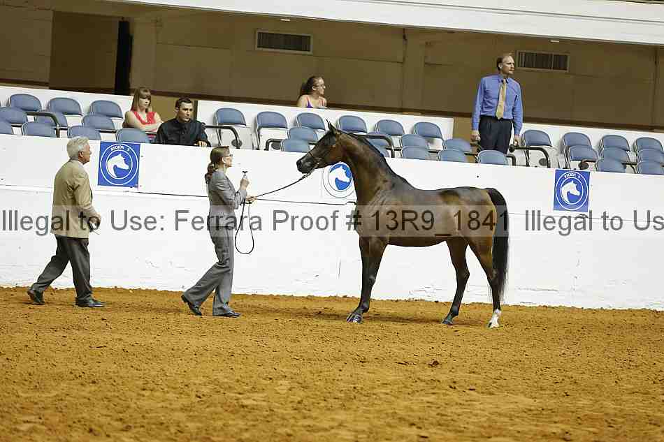 Proof 13r9_1841