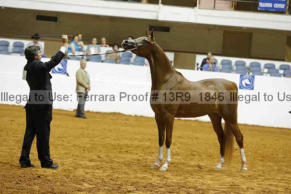 Proof 13r9_1846