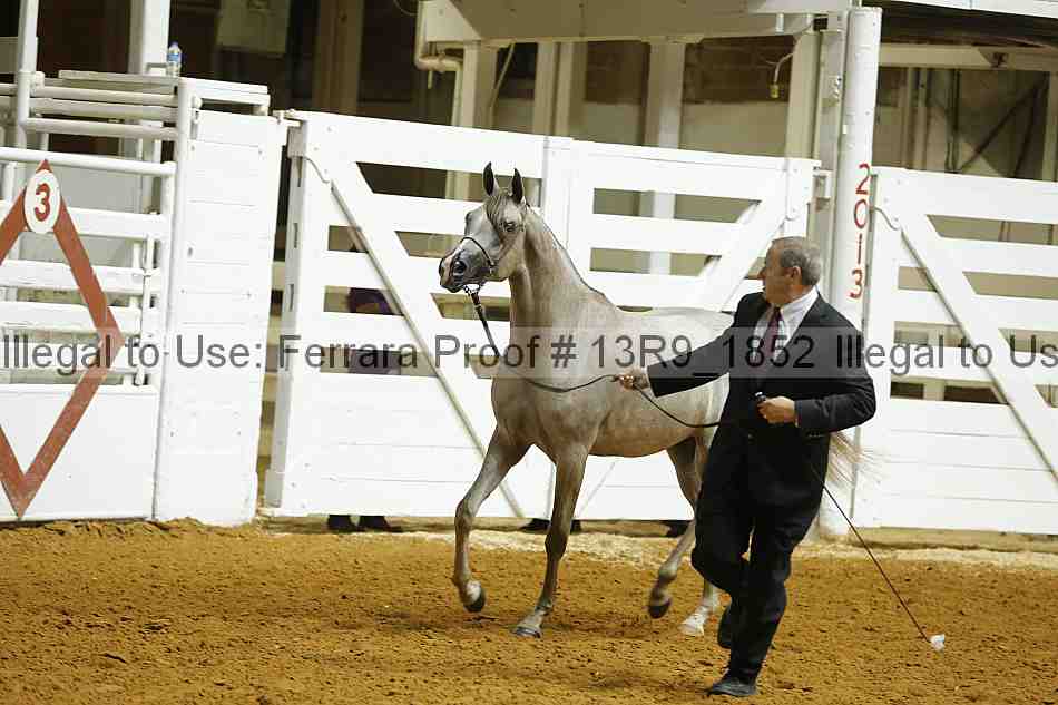 Proof 13r9_1852