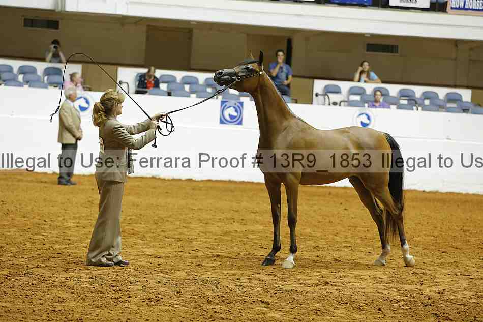 Proof 13r9_1853