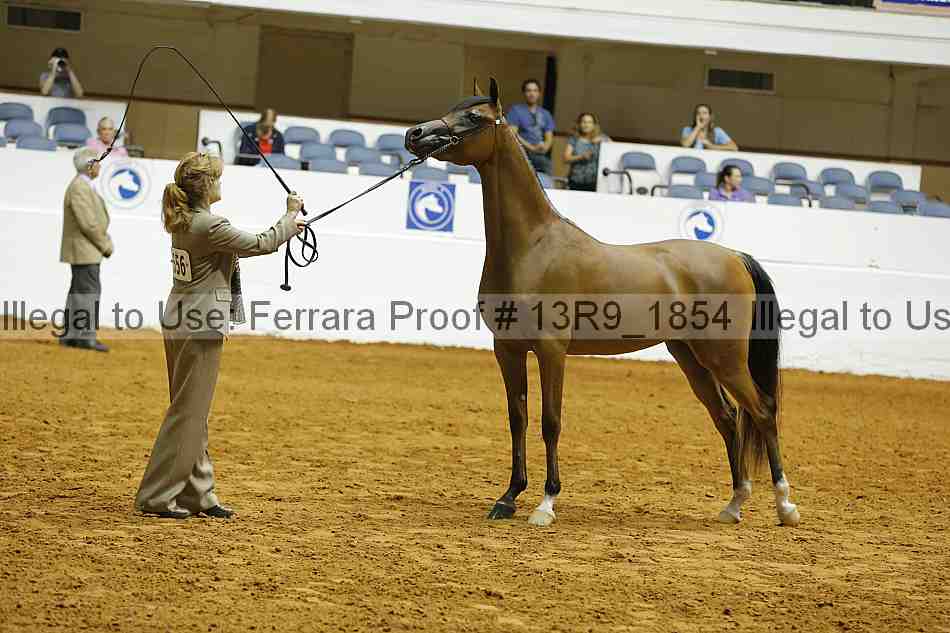 Proof 13r9_1854