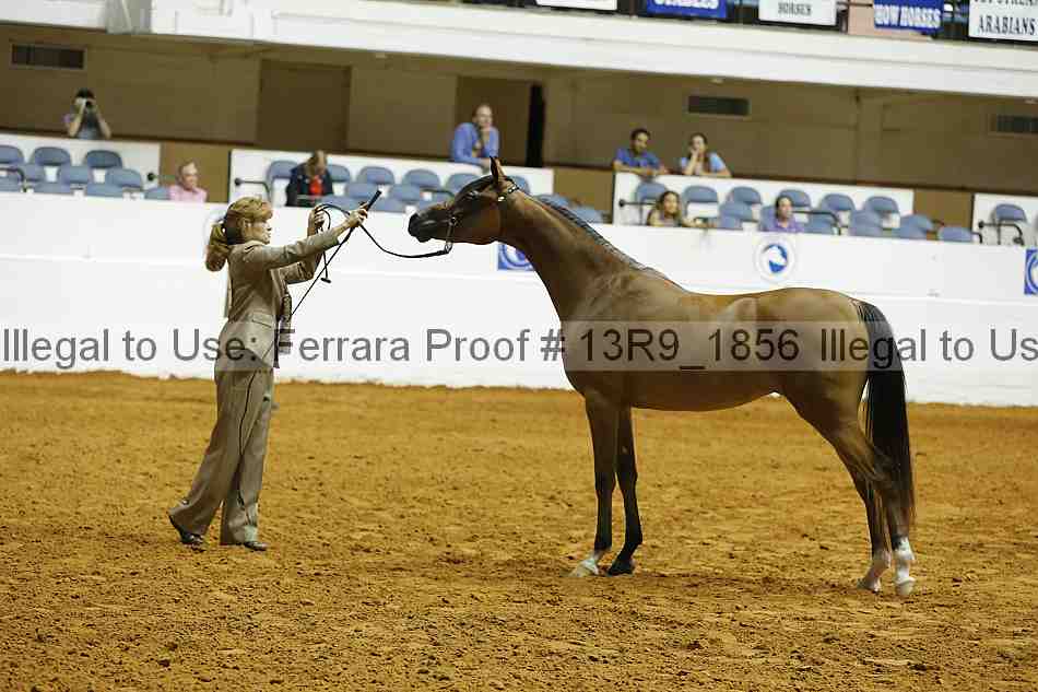 Proof 13r9_1856