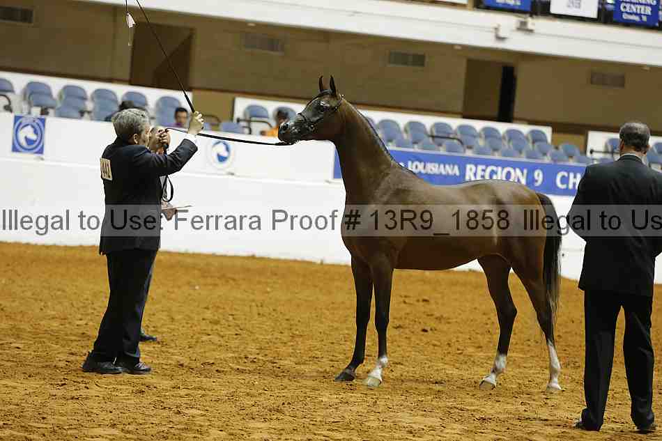Proof 13r9_1858