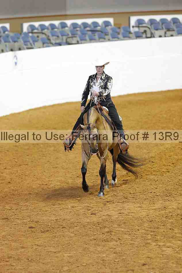 Proof 13r9_1891