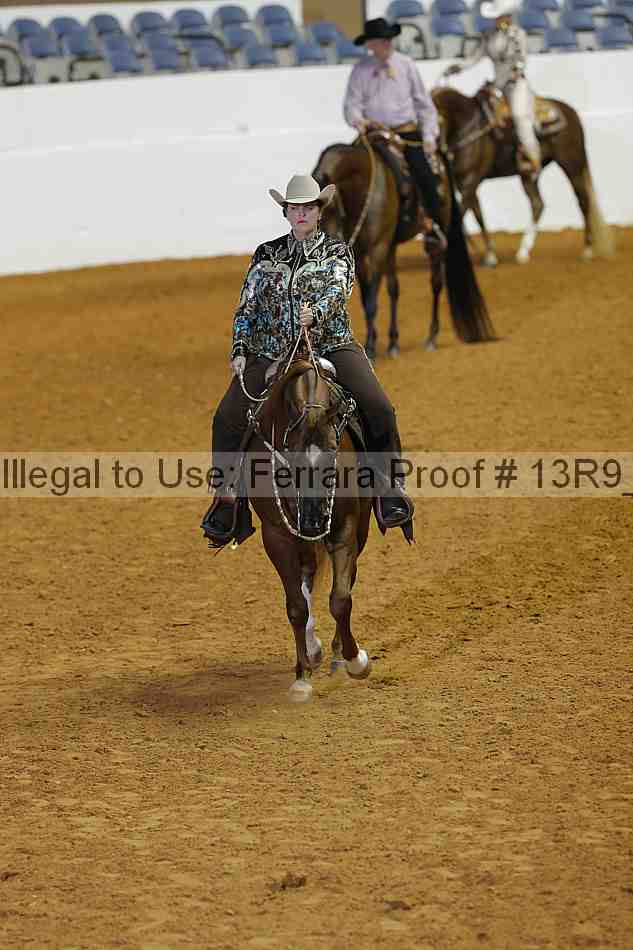 Proof 13r9_1901
