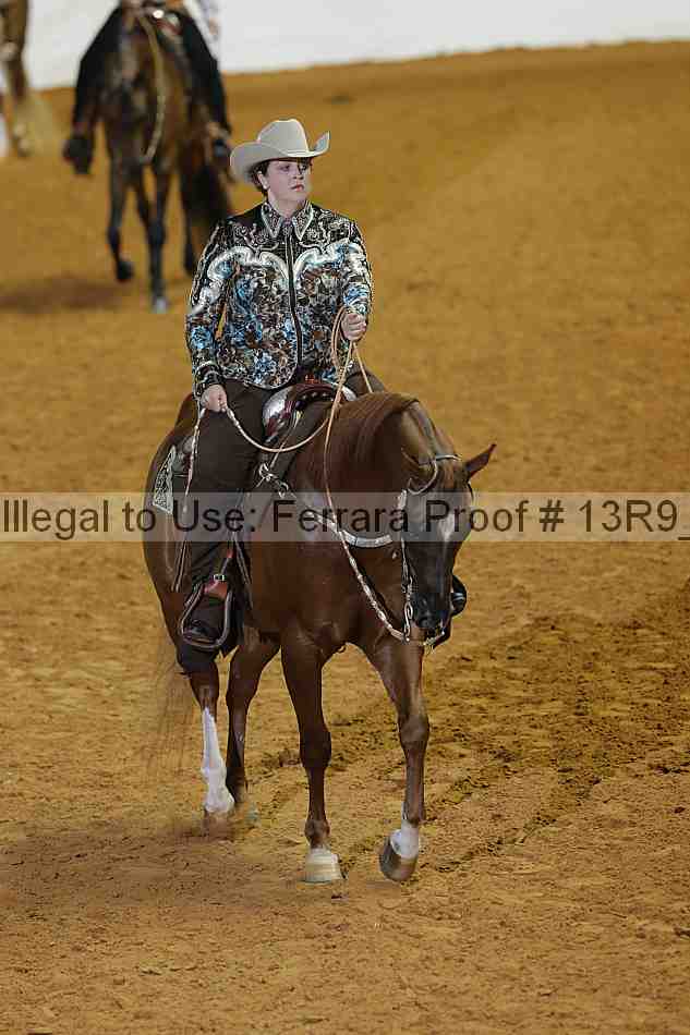 Proof 13r9_1902