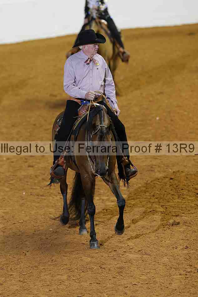 Proof 13r9_1906