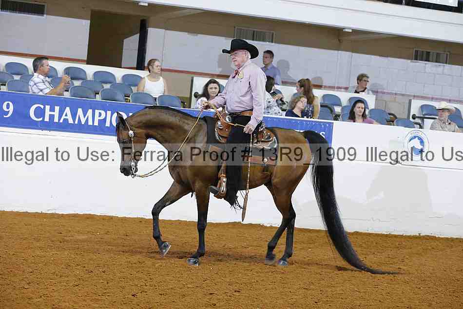 Proof 13r9_1909