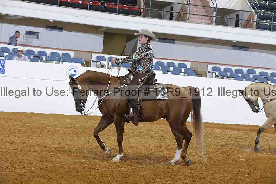 Proof 13r9_1912