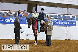 13r9_1981 proof