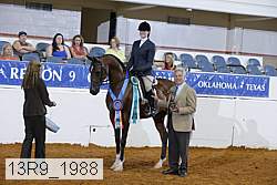 13r9_1988 proof