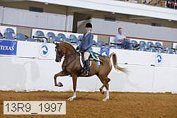 13r9_1997 proof