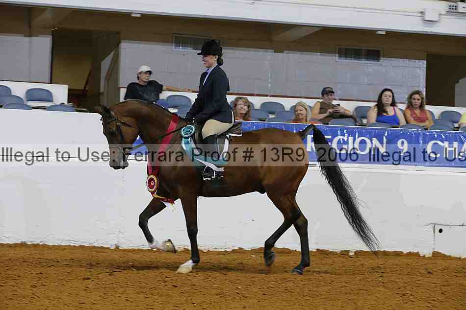 Proof 13r9_2006