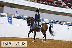 13r9_2008 proof