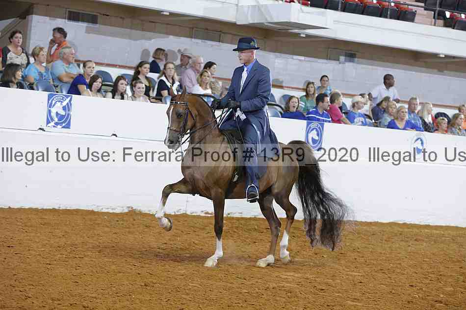 Proof 13r9_2020