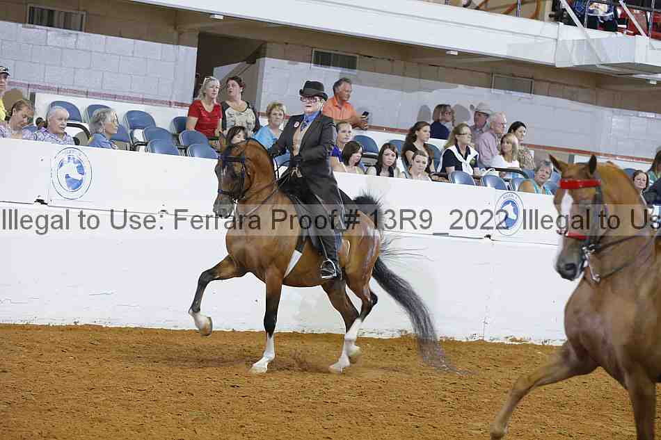Proof 13r9_2022
