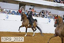 13r9_2022 proof