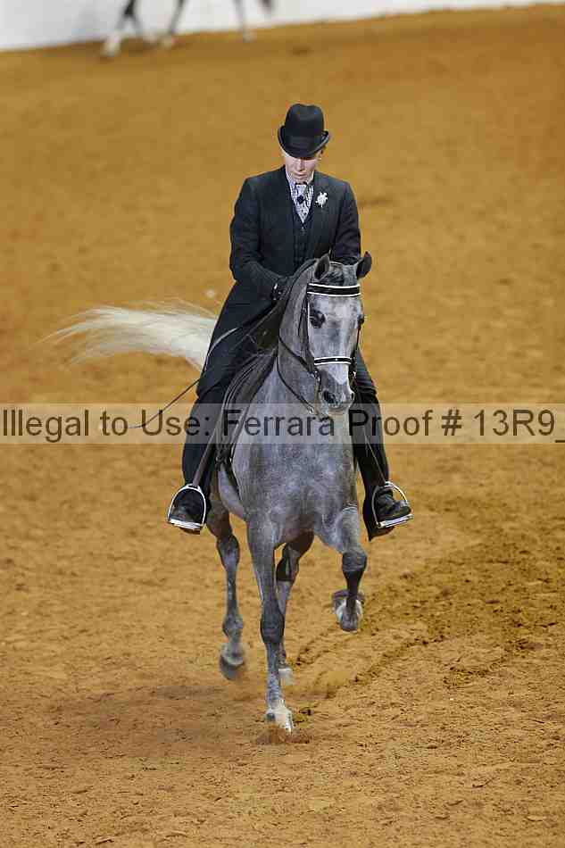 Proof 13r9_2023