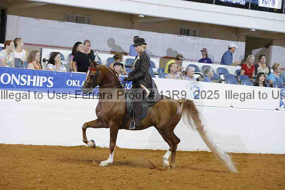 Proof 13r9_2025
