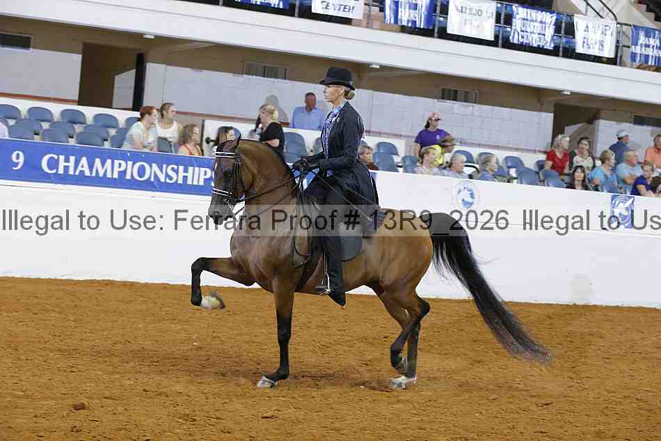 Proof 13r9_2026