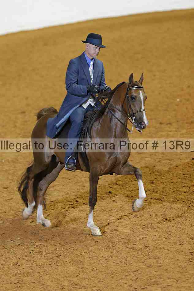 Proof 13r9_2027