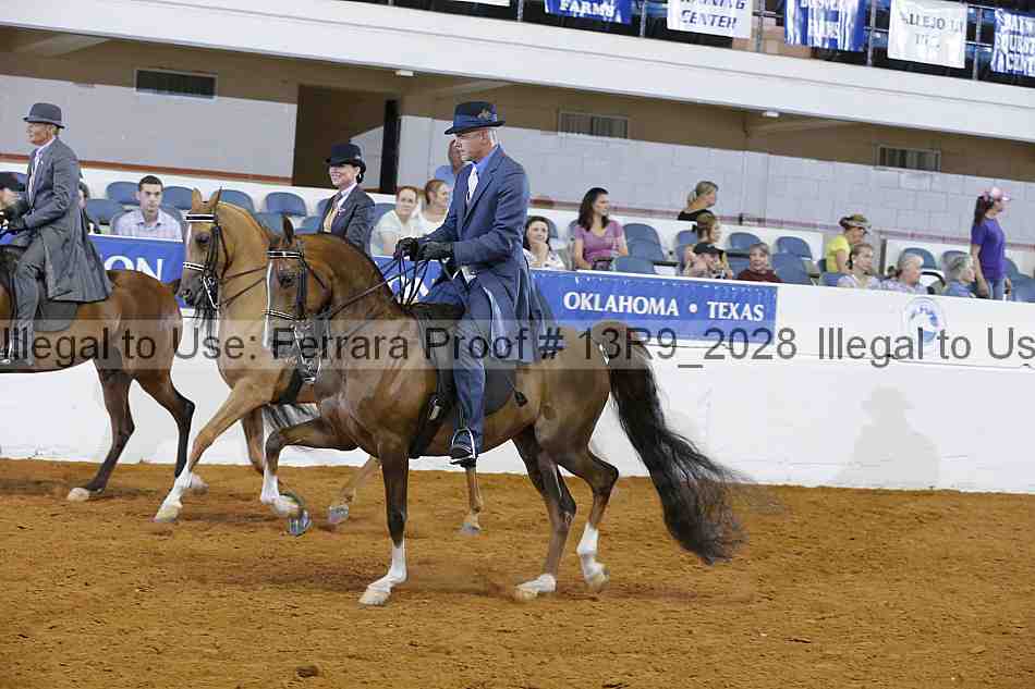 Proof 13r9_2028