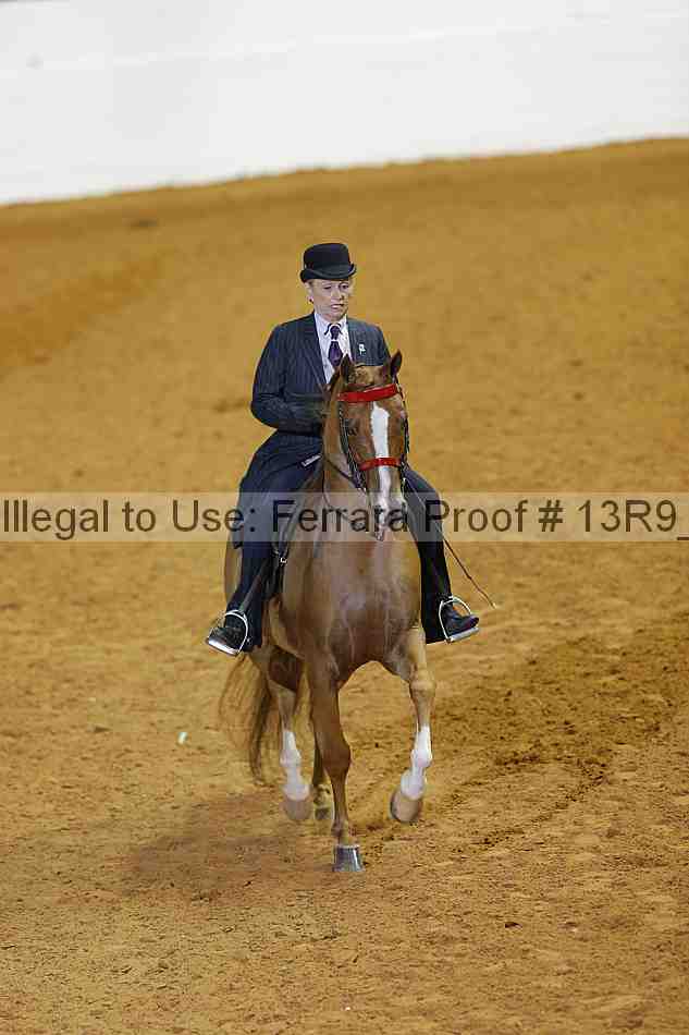 Proof 13r9_2029