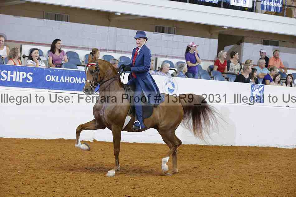 Proof 13r9_2031