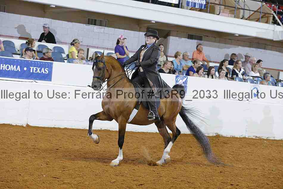 Proof 13r9_2033