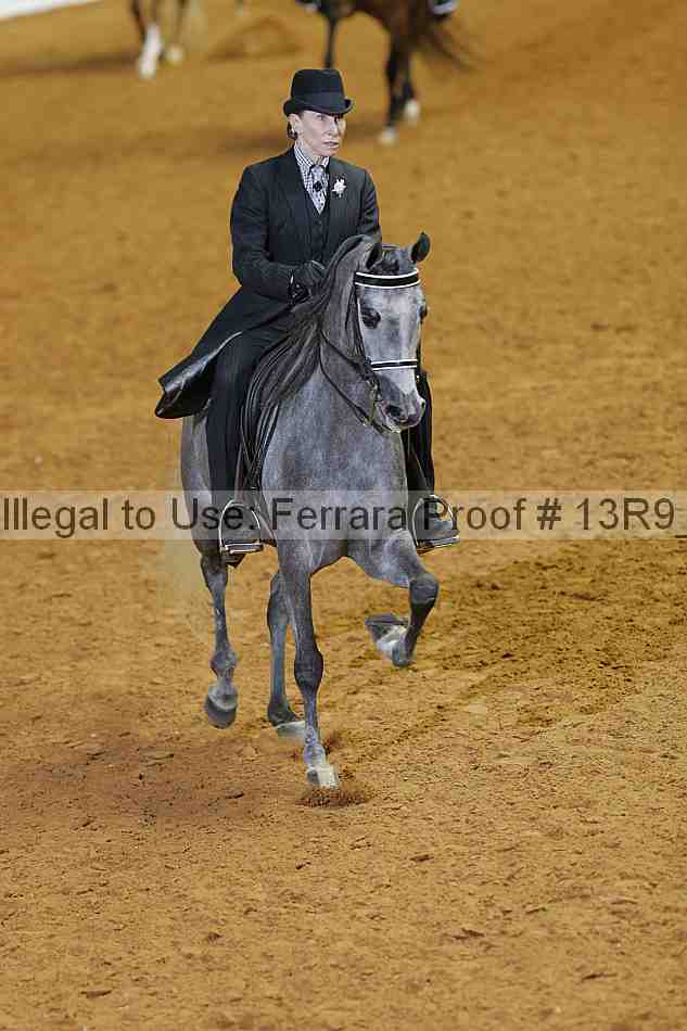 Proof 13r9_2034