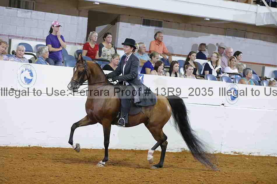 Proof 13r9_2035