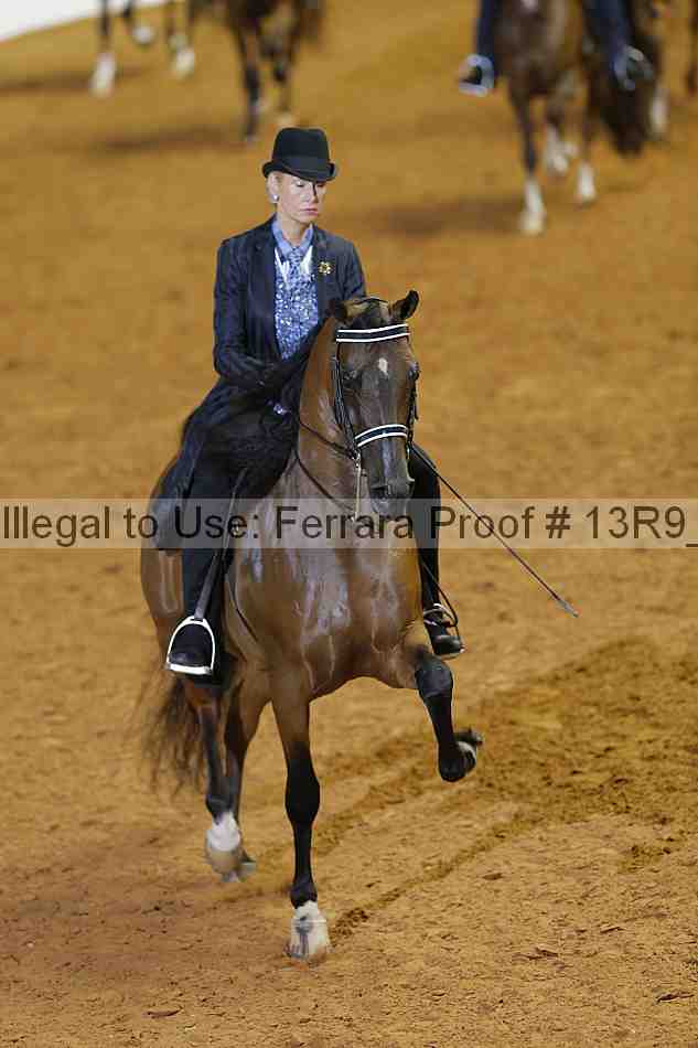 Proof 13r9_2036