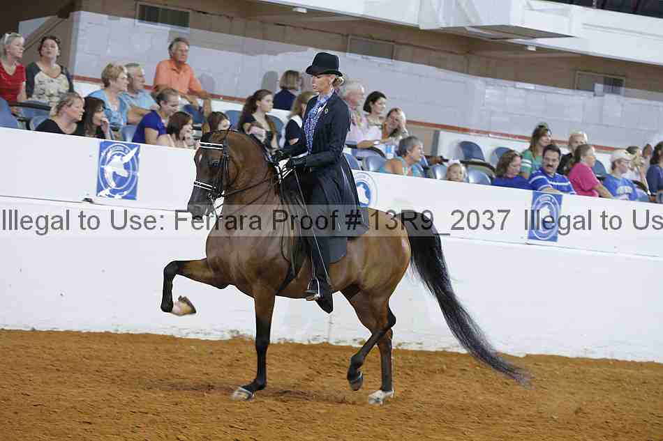 Proof 13r9_2037