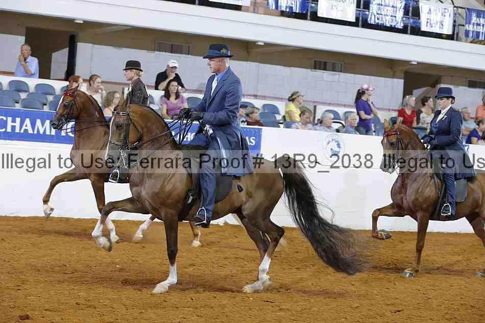 Proof 13r9_2038