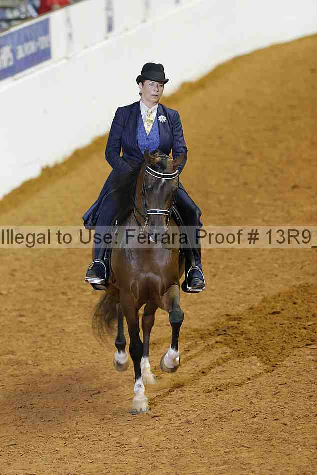 Proof 13r9_2039